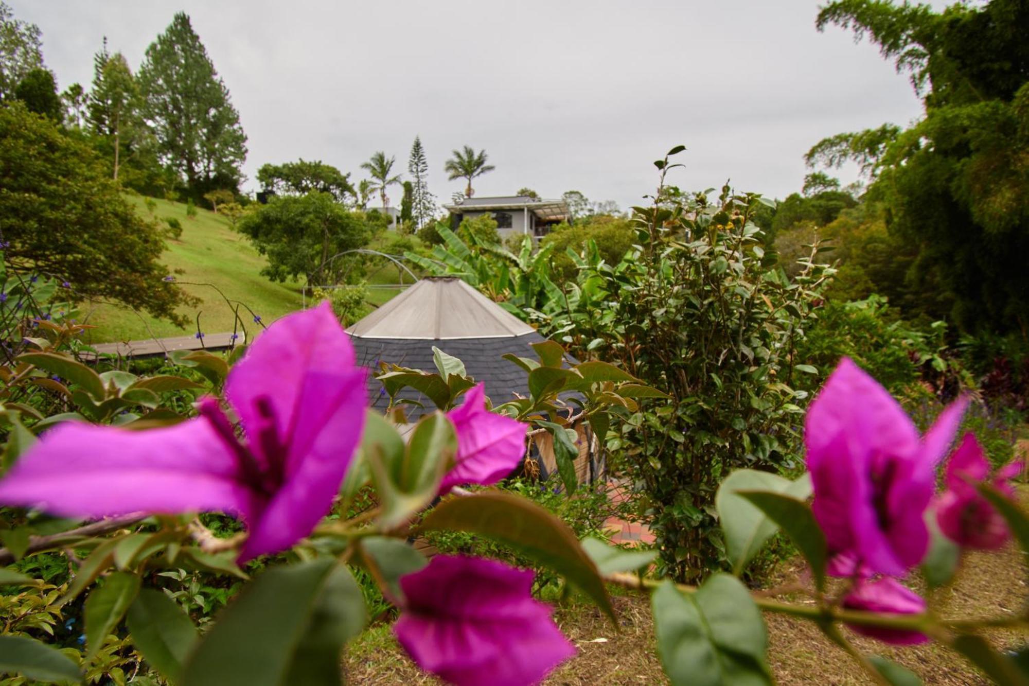 Kokumi By Bernalo Hotels Rionegro Dış mekan fotoğraf